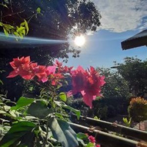 Wulan Anitasari profile icon