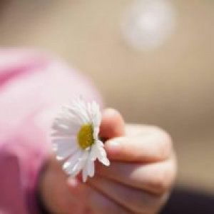 Sya'waanah Rijalullah profile icon