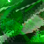 Tri Antiar profile icon