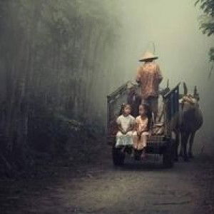 meilany Susanti Pratama profile icon