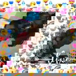 Yogeshwari Subramaniam profile icon