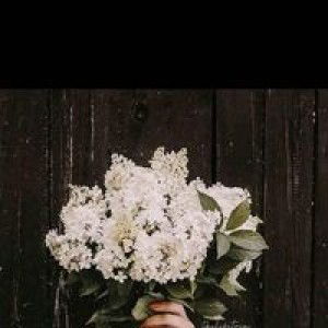 Vinkaa Davany Sastii profile icon