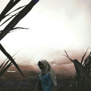 Resa Bryani profile icon