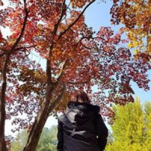 Wan Yee profile icon