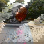 Tarii Privers profile icon