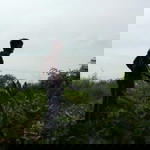 นนทวัฒน์ กางแม profile icon