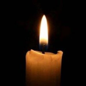 Nerissa Galagar profile icon