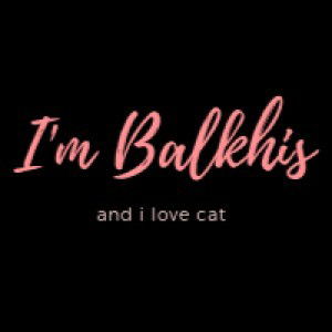 Siti Balkhis profile icon