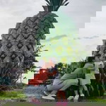 Pinky Suralta profile icon