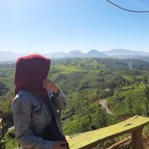 Dini Nasfariyanti profile icon