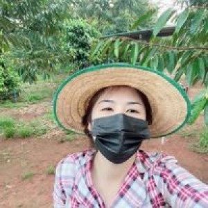 Bowie Tidarat profile icon