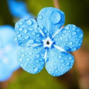 Titik Nur Rohmah profile icon