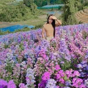 ศิริภรณ์ เฟื่องมณี profile icon