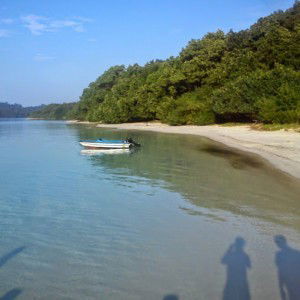 mitsa qana profile icon