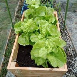 Siti Nur Hawa Azahari profile icon