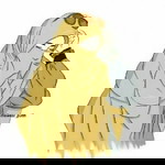 Salsabila zn profile icon