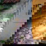 Asidah Mbak Sidah profile icon