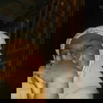 NurNgaeni profile icon