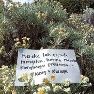 Eneng Siti Nursofa Fauziah profile icon