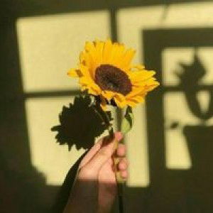 Hesti Dewi Sovia profile icon