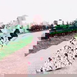 Anna's Ismail profile icon