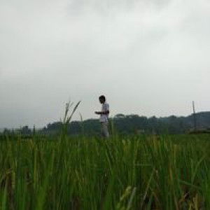 Siti Maemunah profile icon