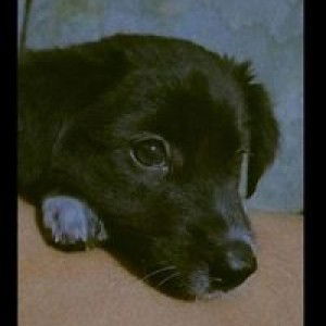 Marggie Maambong profile icon