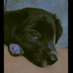 Marggie Maambong profile icon