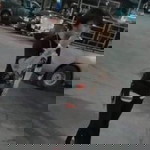 แม่ น้องเบิร์ด profile icon