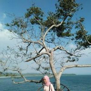 Wini Indriyani profile icon