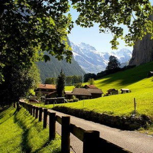 HAAFEFFY HARIS profile icon