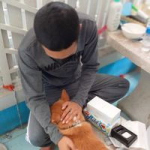 yaowalak profile icon