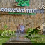 Antie N Q profile icon