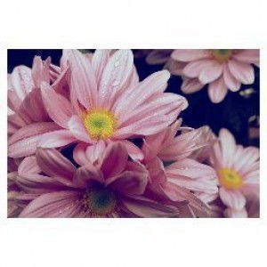 Endang Putri Rahayu profile icon