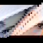 Marwiyah profile icon