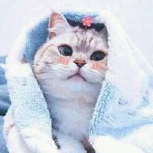 Hanifah profile icon