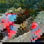 Arash Armin profile icon