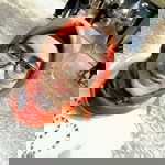 Anggun Zarina profile icon