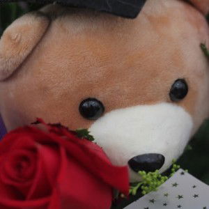 Yana Dolce profile icon