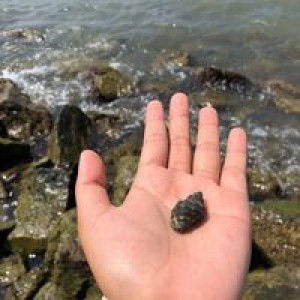 Yuni Ayu Lestari profile icon