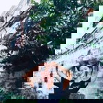 Maemae F. Fernandez profile icon