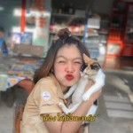 อลิสดา ยงกิจ profile icon