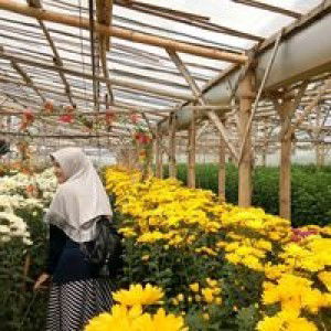 Dyah Ayu Dewi Anggraeni profile icon