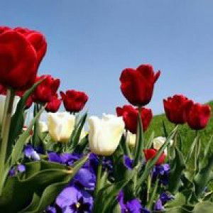 Andriana Rahmawati profile icon