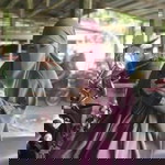 Fajar Agustina profile icon