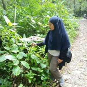 Eva Subang profile icon