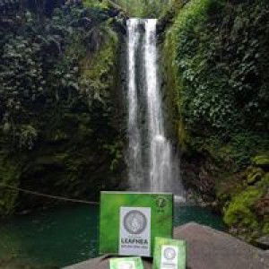 Devi Leafhea profile icon