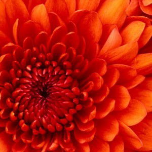 Wawa Nuraisha profile icon