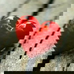 Nana fatmasari profile icon