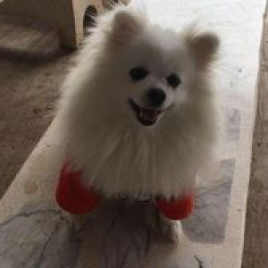 Sureeporn Suppaso profile icon